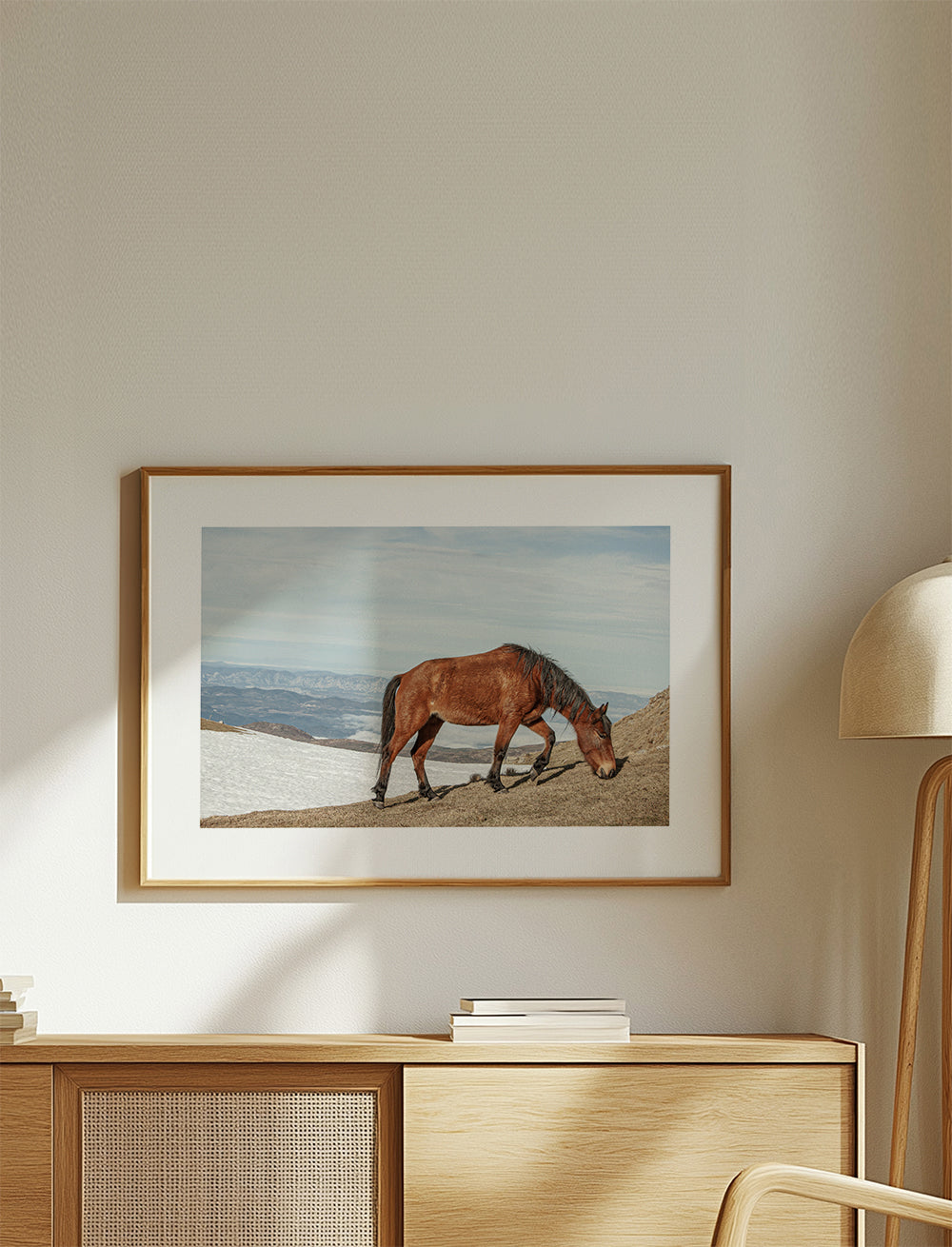Wild Horses V