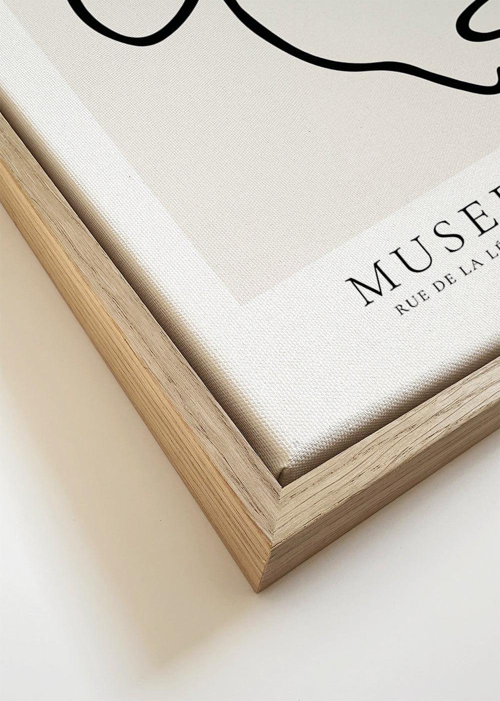 Pablo Picasso Animals Drawings the bull