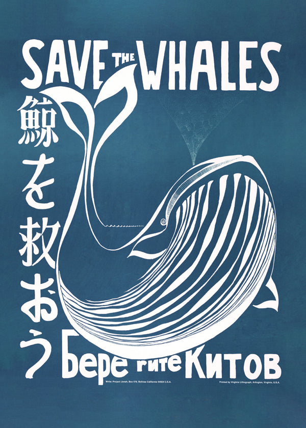 Vintage print whale illustration in blue | Wall art, framed prints