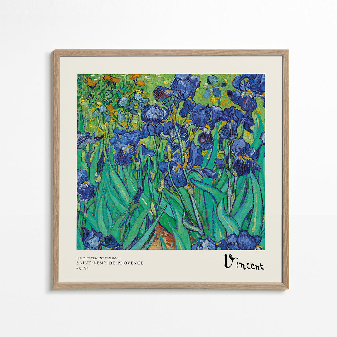 Irises by Vincent van Gogh - Square