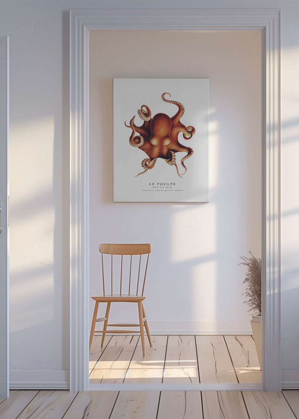 The Octopus (Le Poulpe) - Sealife Collection