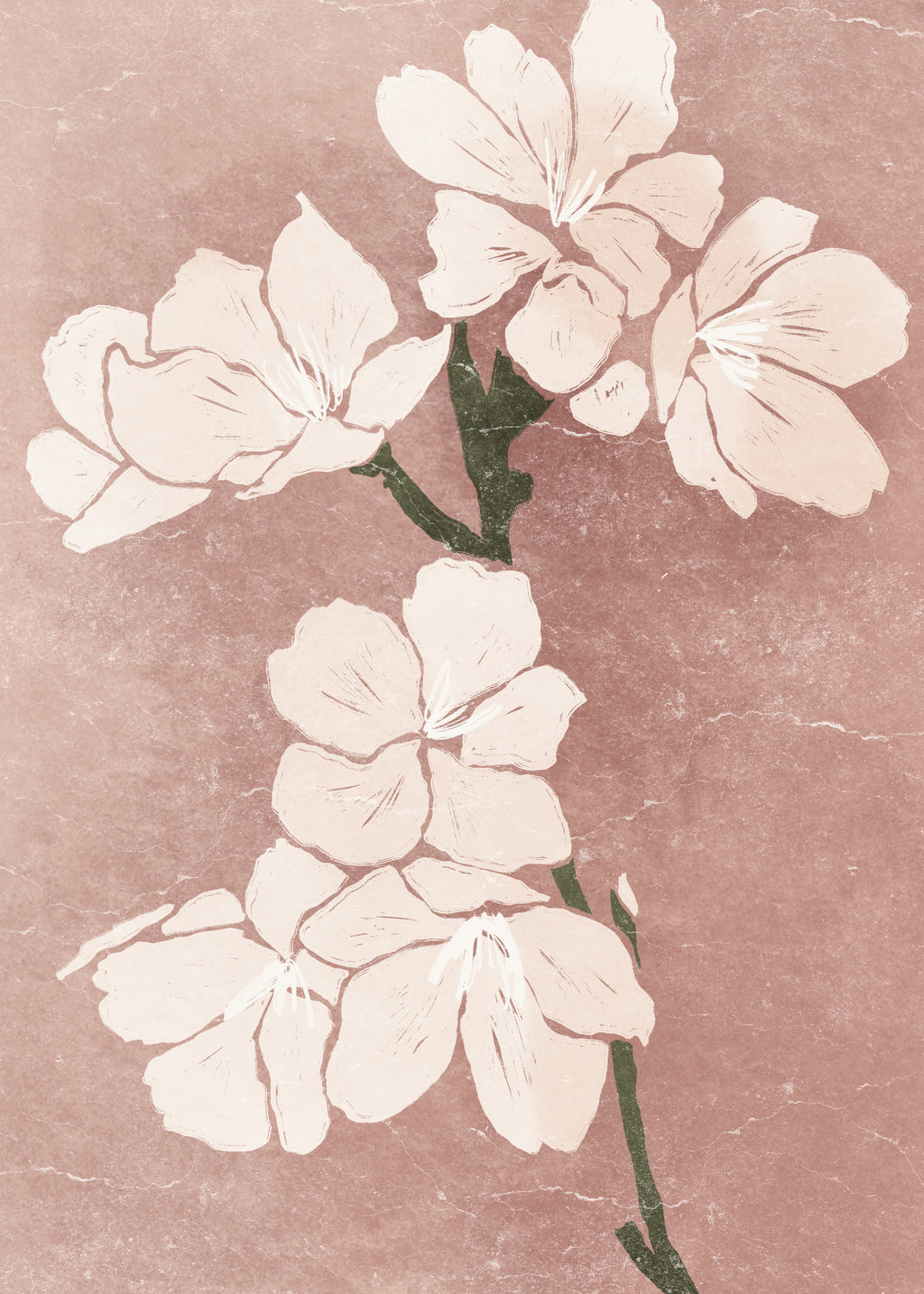 Pink Blossom III - Unframed art print