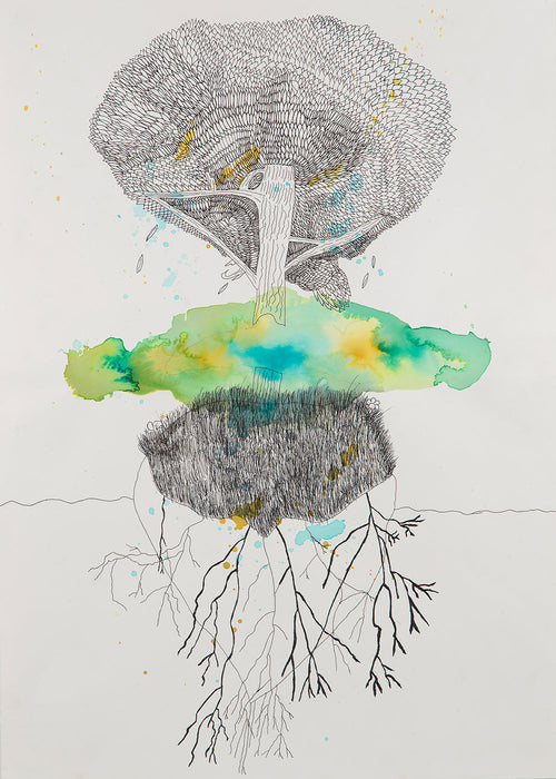 Lámina botánica árbol y raíces en tinta y acuarela