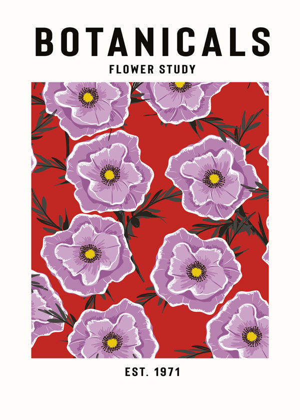 Botanicals Flower Study - jay stanley 