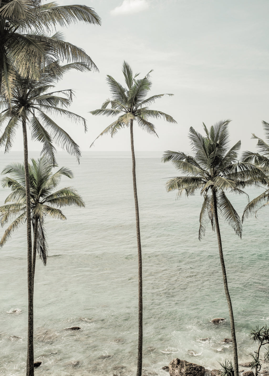 Tropical Dreams - Unframed art print