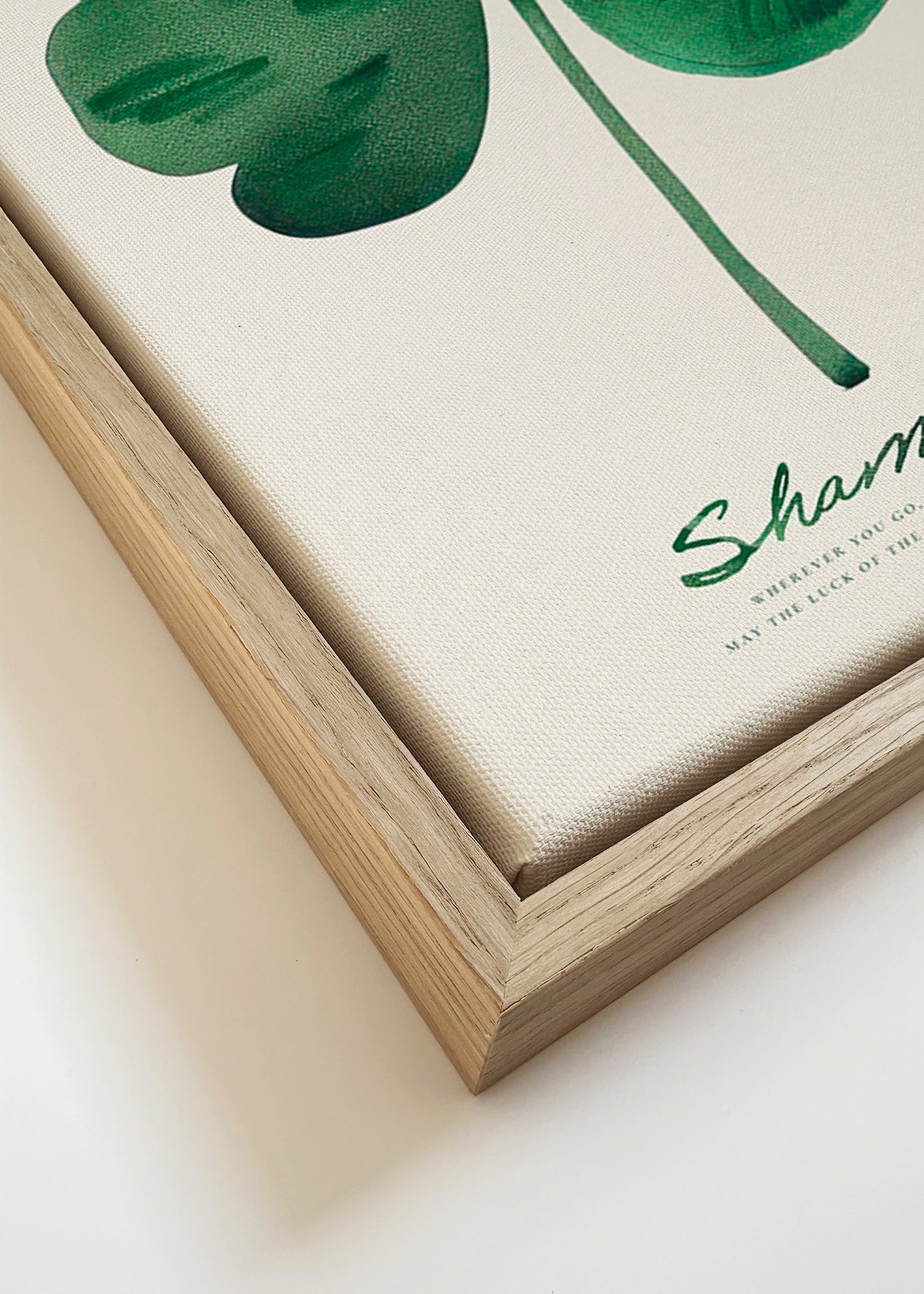Lámina botánica Shamrock trébol en acuarela – Canvas detail