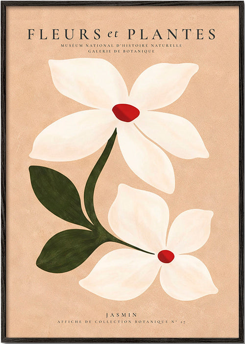 Lámina botánica con jazmín sobre fondo beige – Black Frame