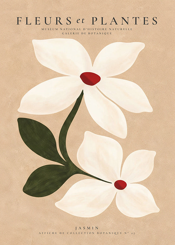 Botanical print jasmine on beige background