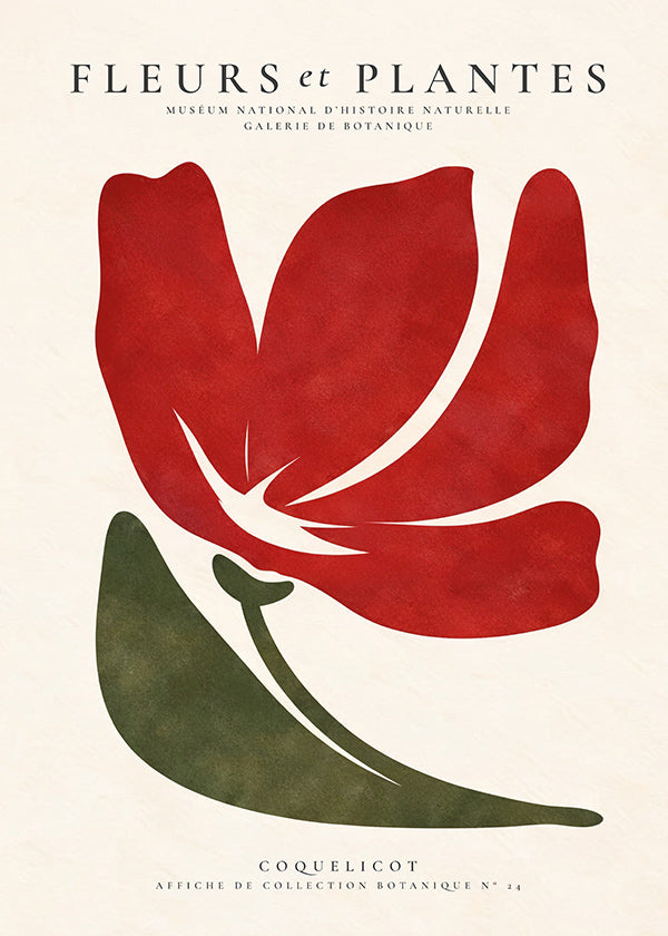 Botanical print featuring a stylized red poppy