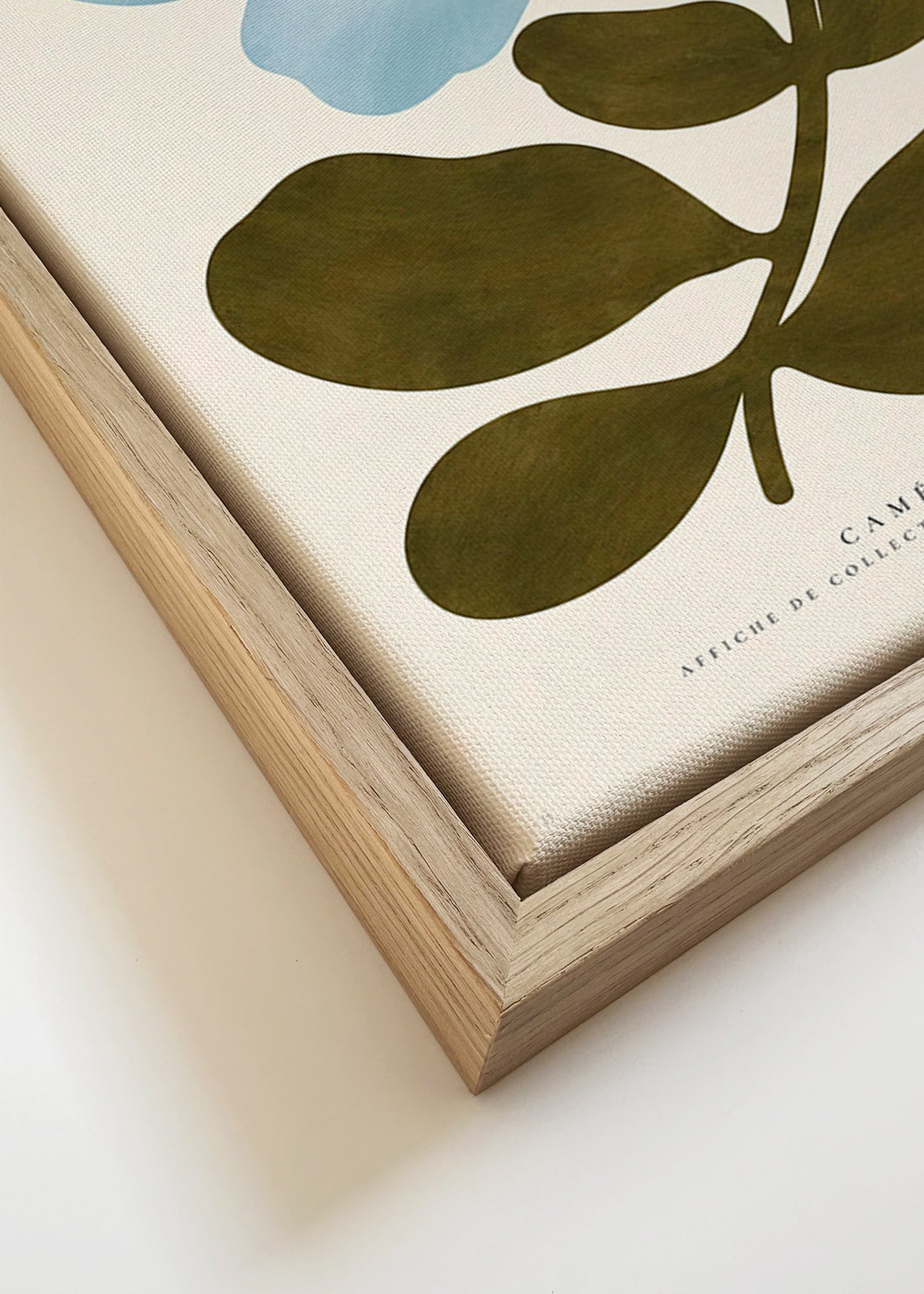 Botanical print Blue Camellia