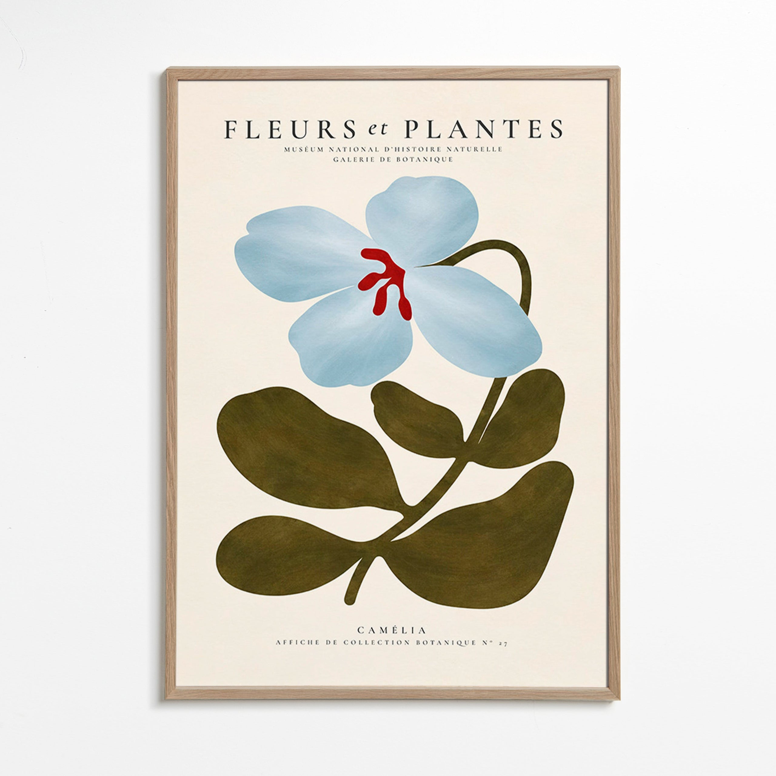 Botanical print Blue Camellia