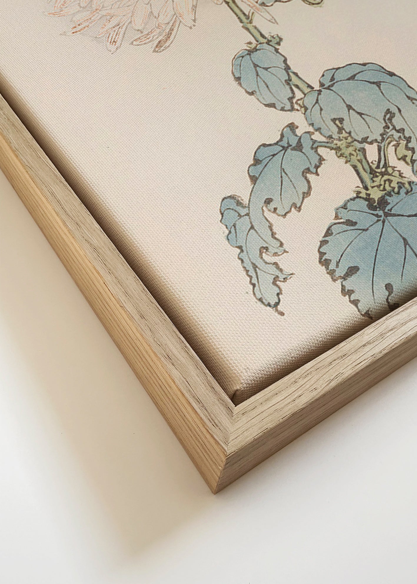 Lámina botánica: crisantemo japonés en trazo delicado – Canvas detail
