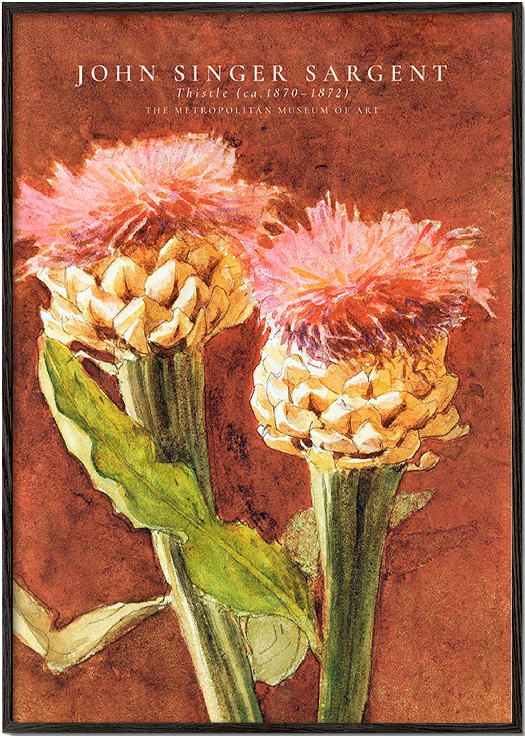 Botanical print: pink thistles