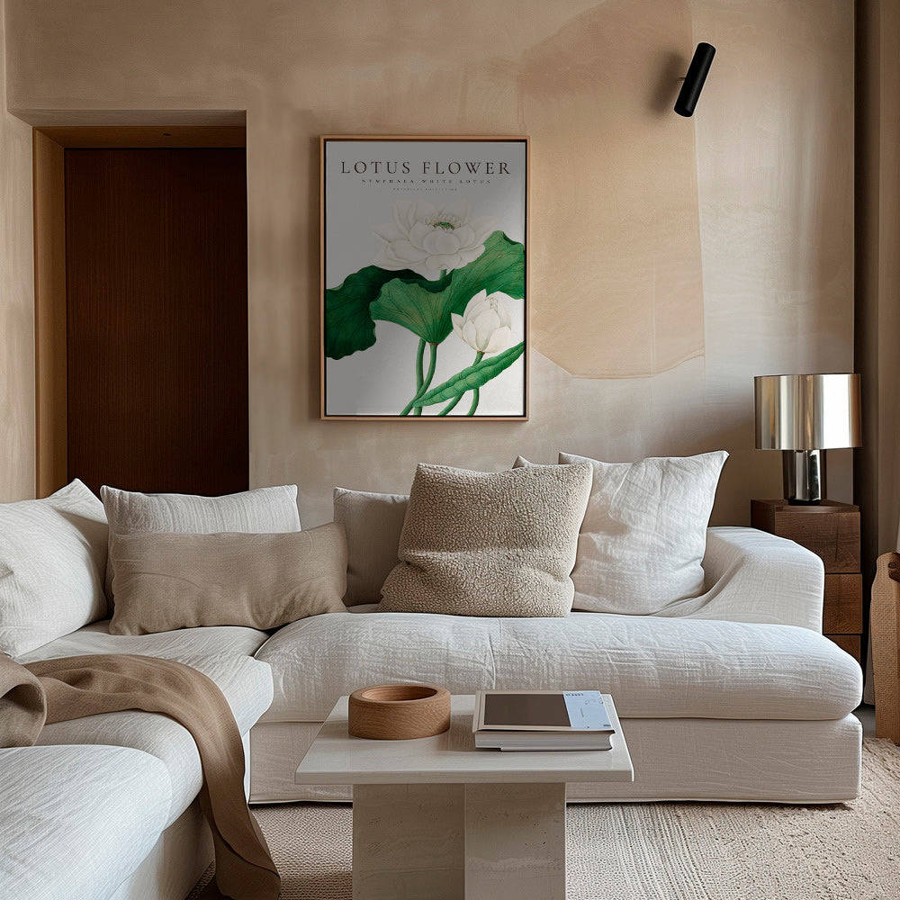 Botanical print White Lotus study
