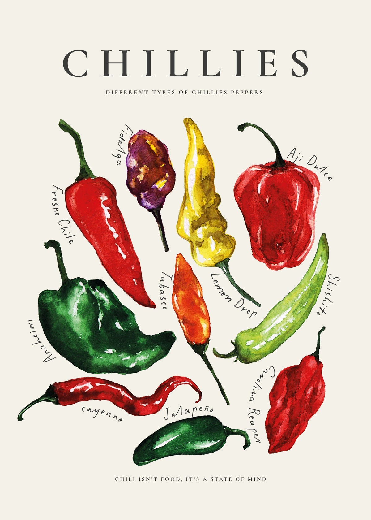 Chillies - Unframed art print