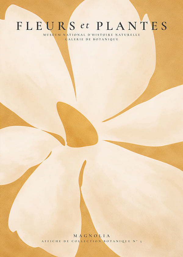 Botanical print Magnolia large format