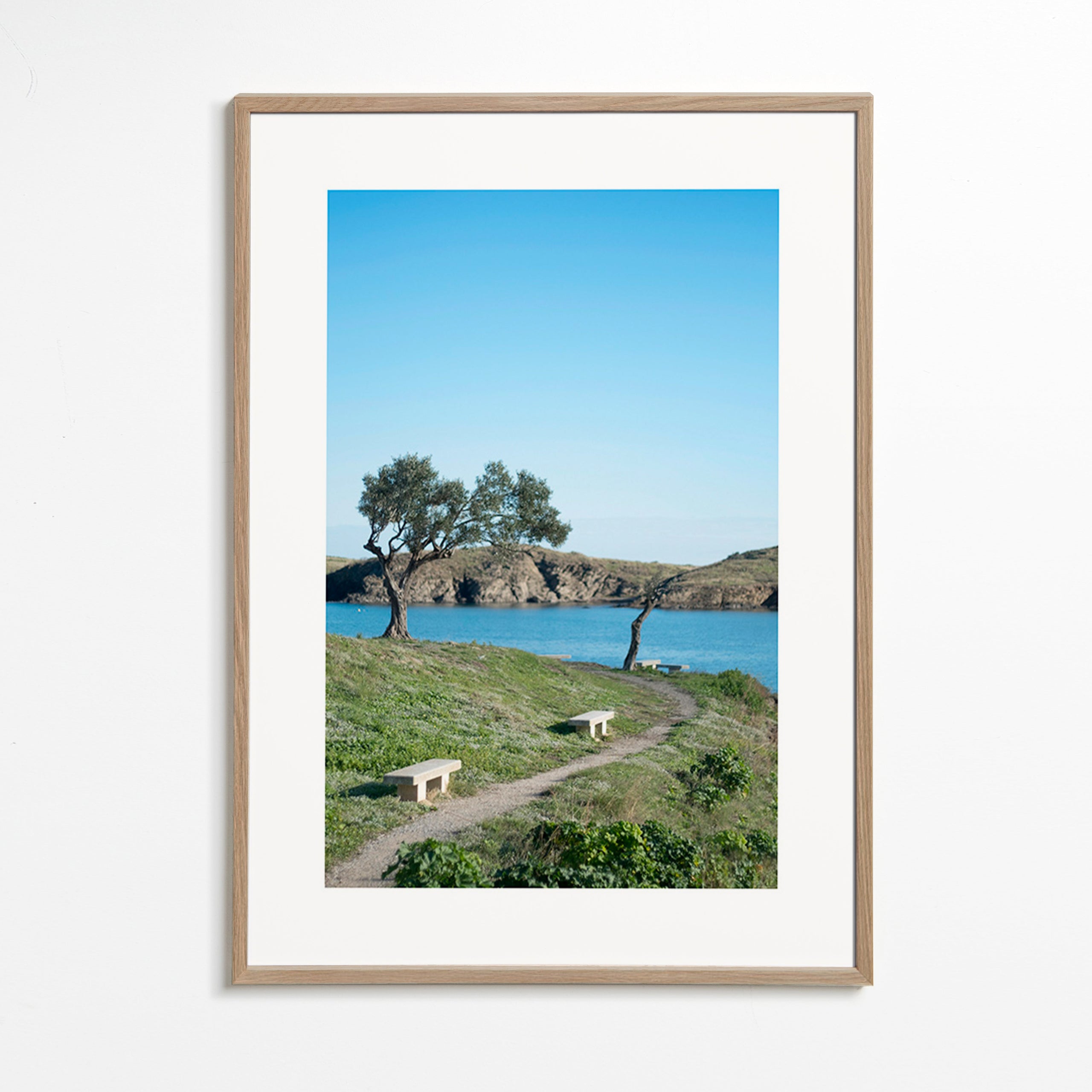 Landscape art coastal path serenity
