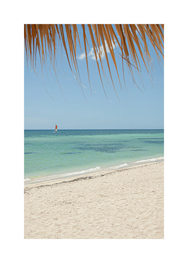 Landscape photo: palm beach seascape