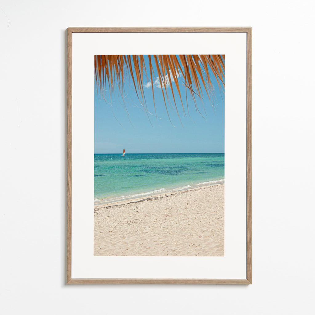 Landscape photo: palm beach seascape