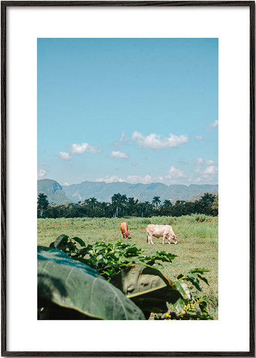 Landscape art: field with cows under wide sky