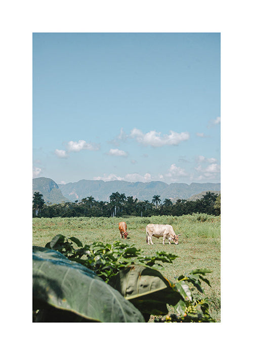 Landscape art: field with cows under wide sky