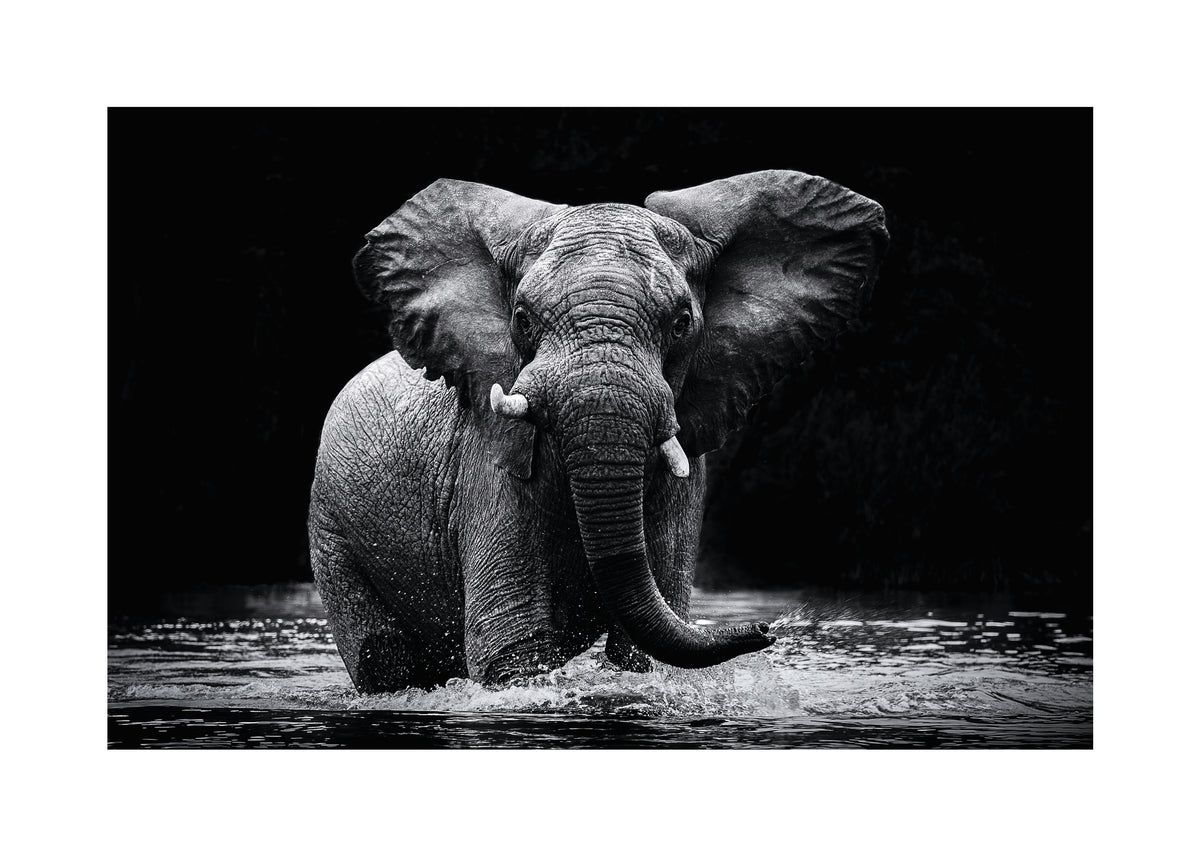 Power 1 - Unframed art print
