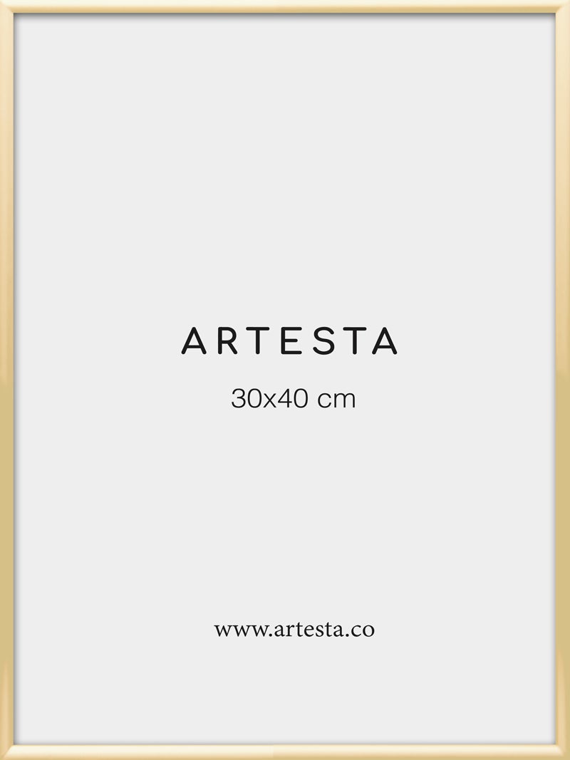 Gold frame 12'' x 16'' in