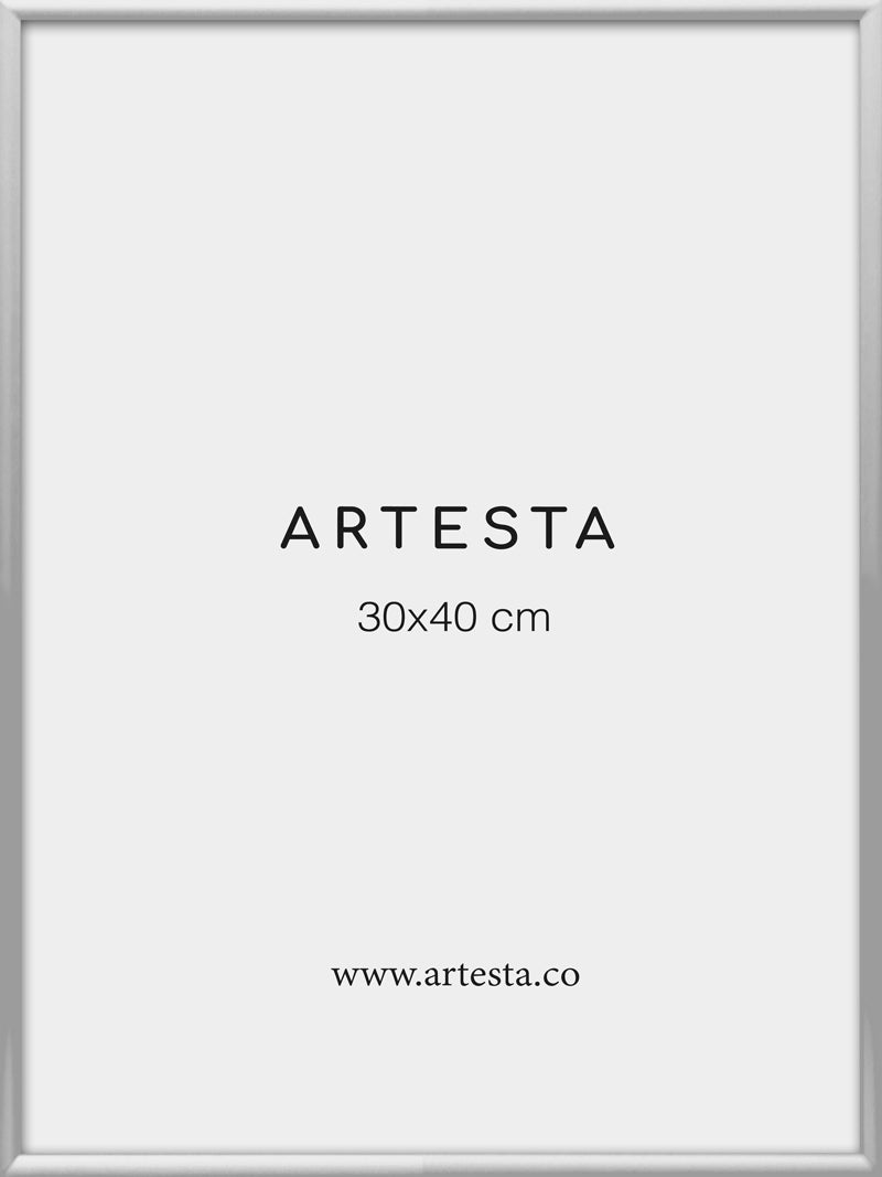 Silver frame 12'' x 16'' in