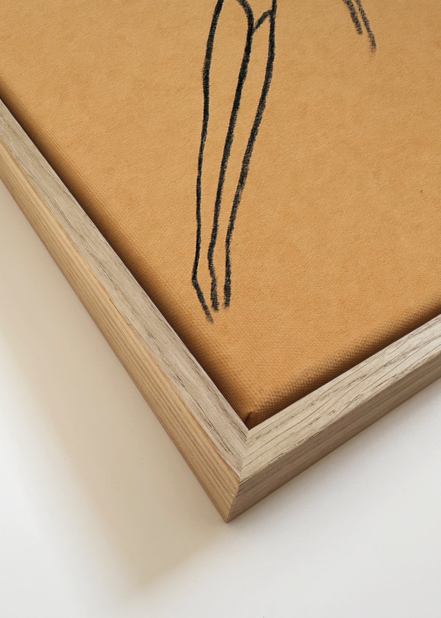 Ilustración de figura en suspensión – Canvas detail