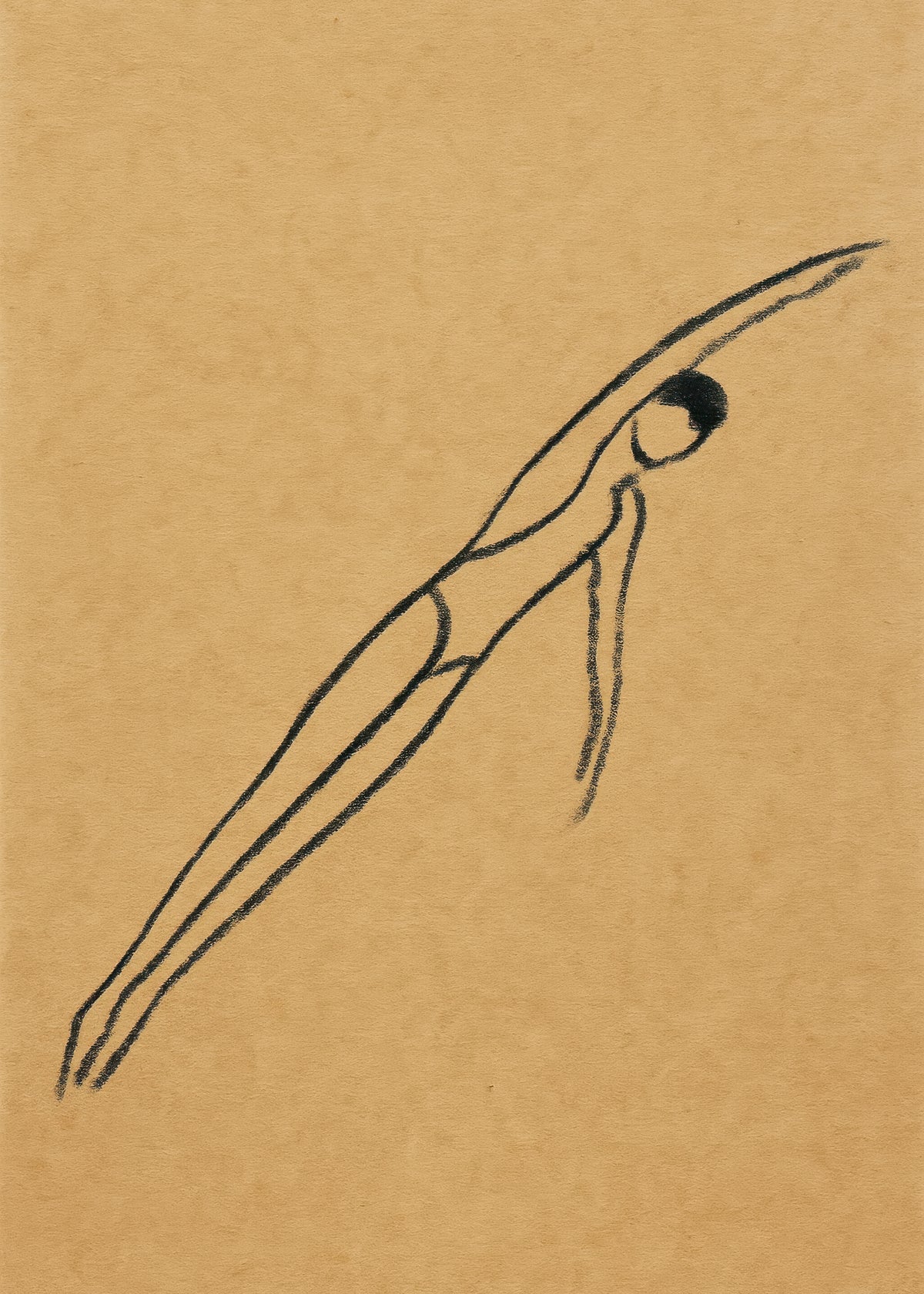 Mid-Air Suspension - Unframed art print