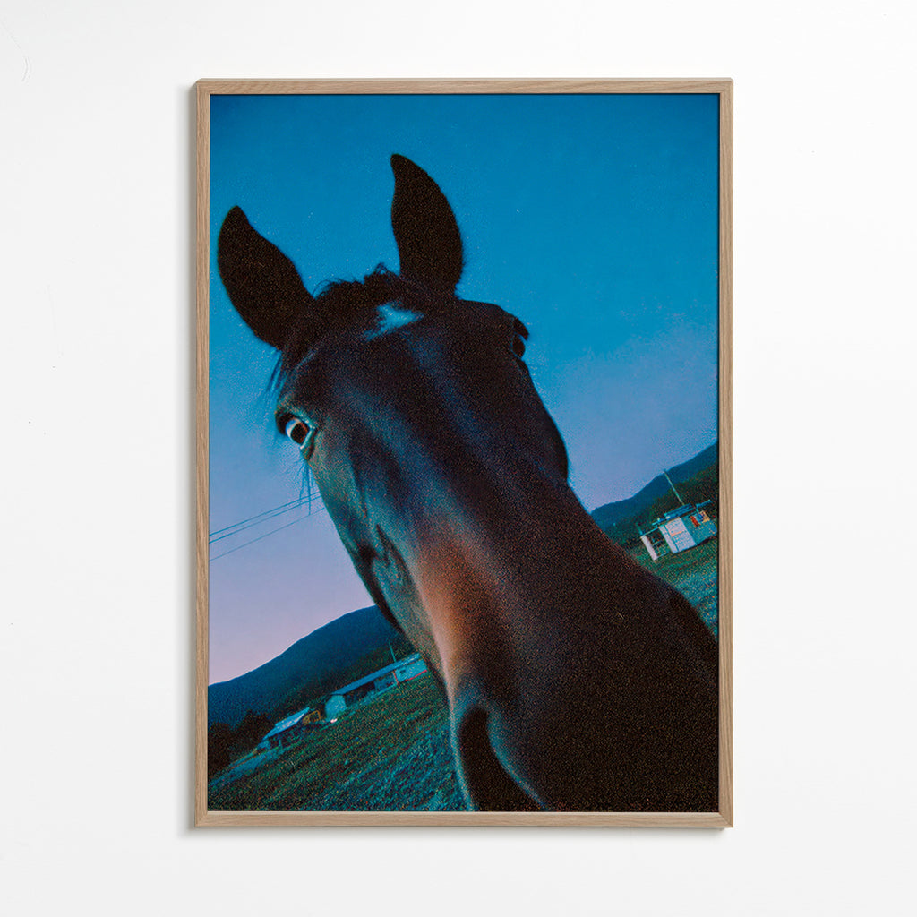 Artwork horse close-up at dusk