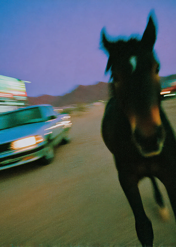 Cuadro caballo en movimiento nocturno