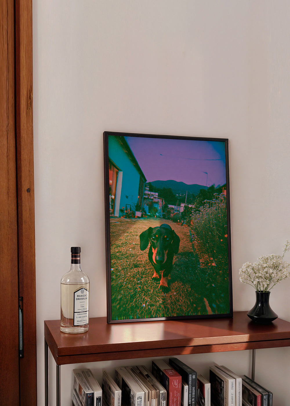 Dog at dusk photograph