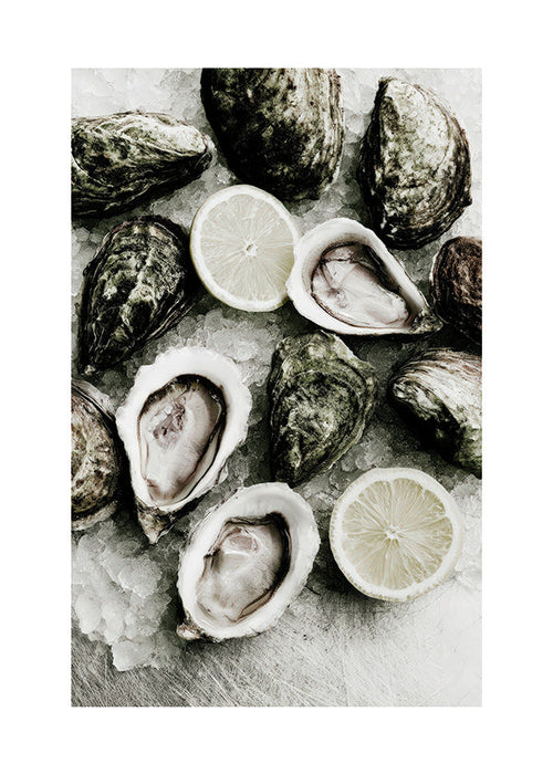 Kitchen art: oysters and lemon close-up