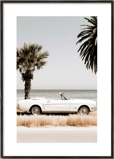 Palm Motel
