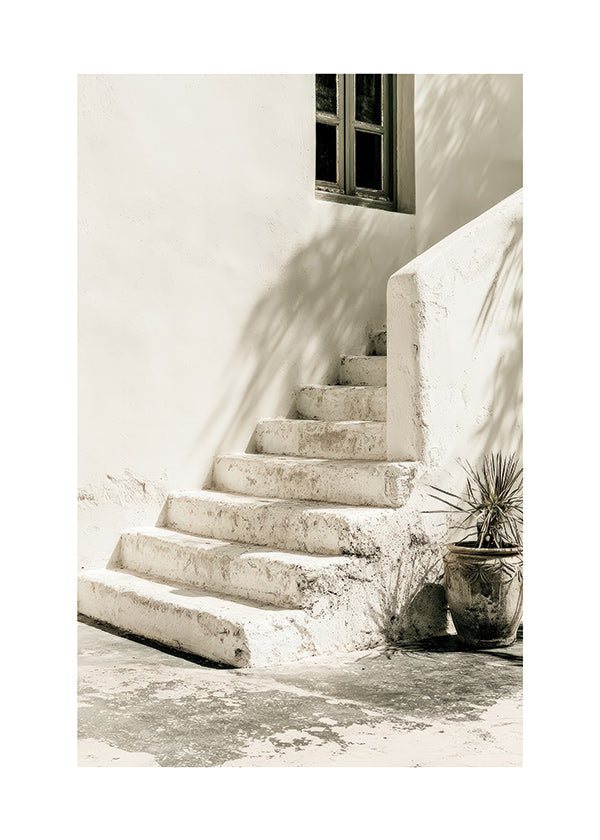 Photograph of white steps with plant