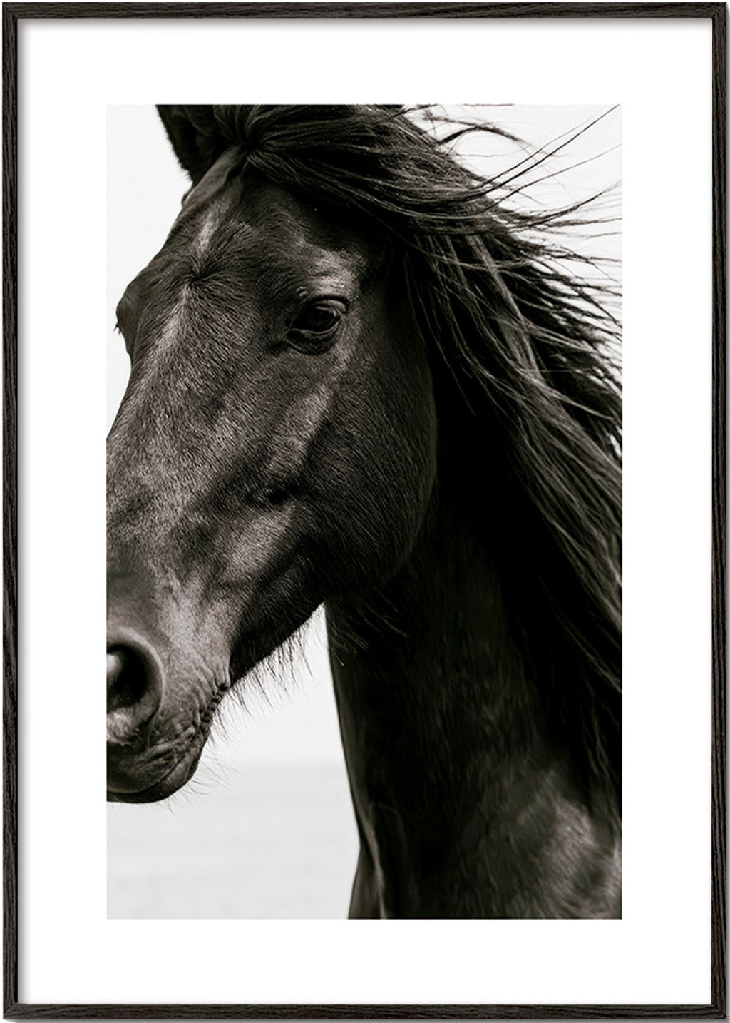 Cuadro caballo negro en primer plano – Black Frame