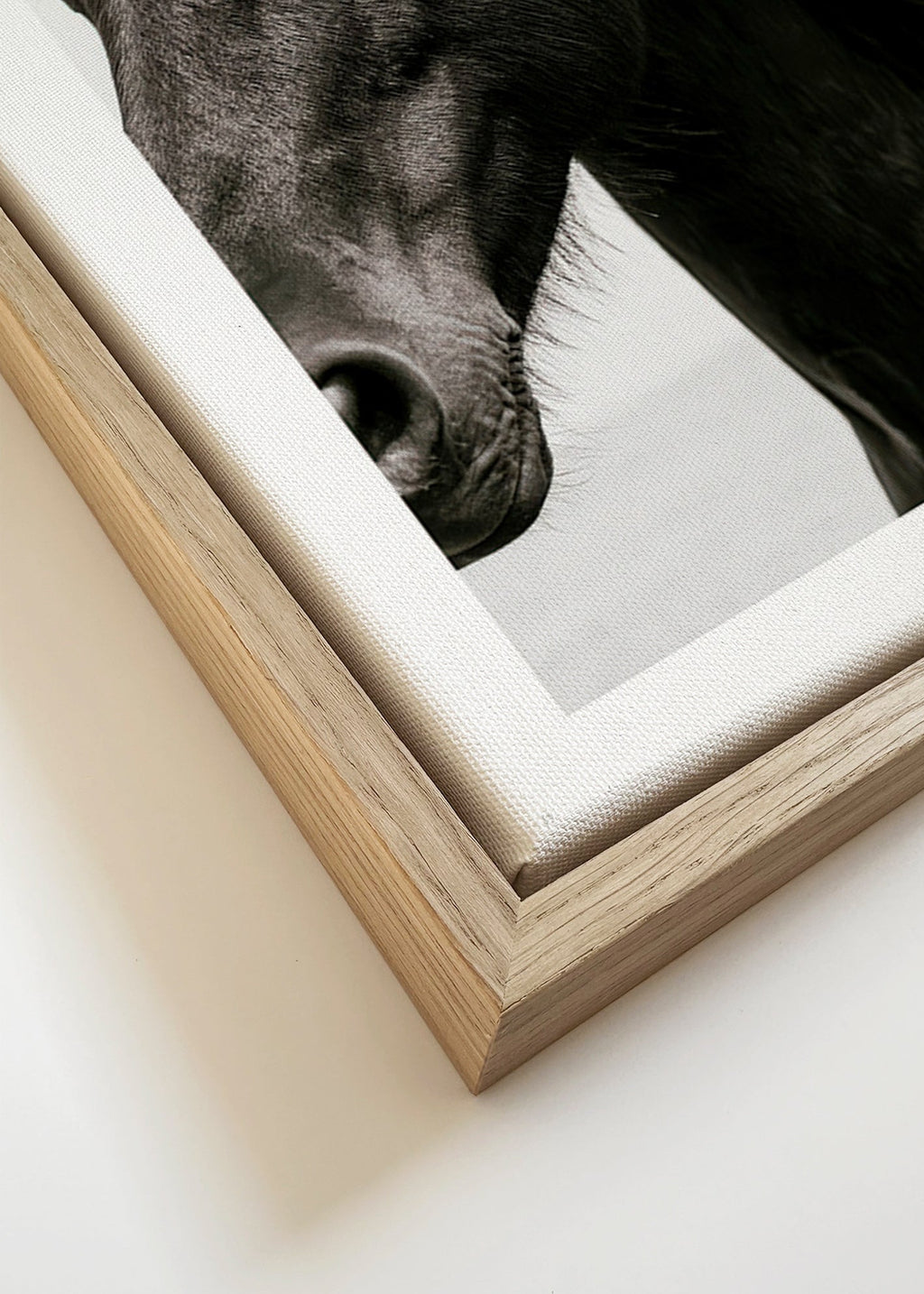Cuadro caballo negro en primer plano – Canvas detail