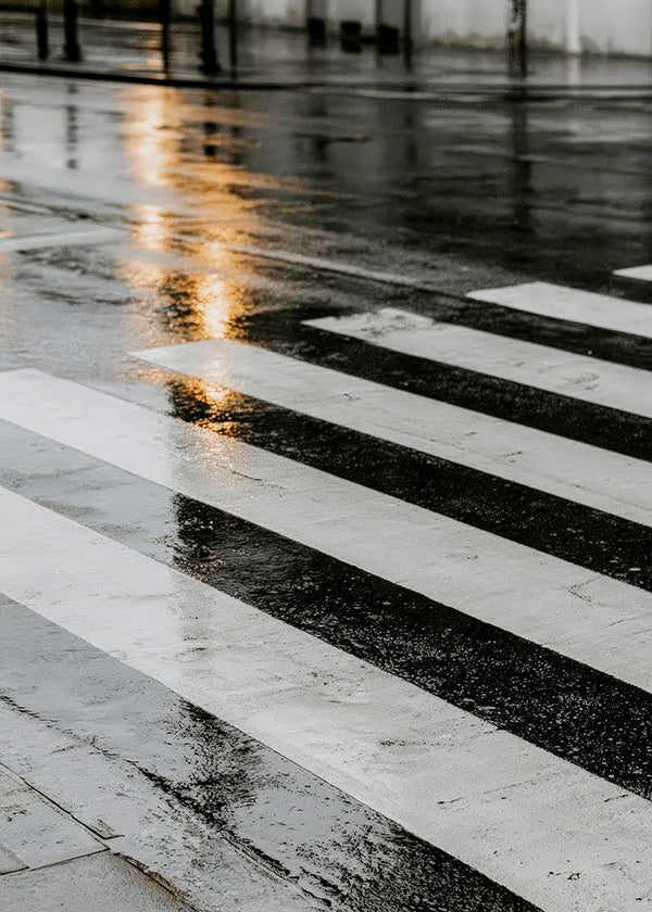 Photograph: wet crosswalk in the city