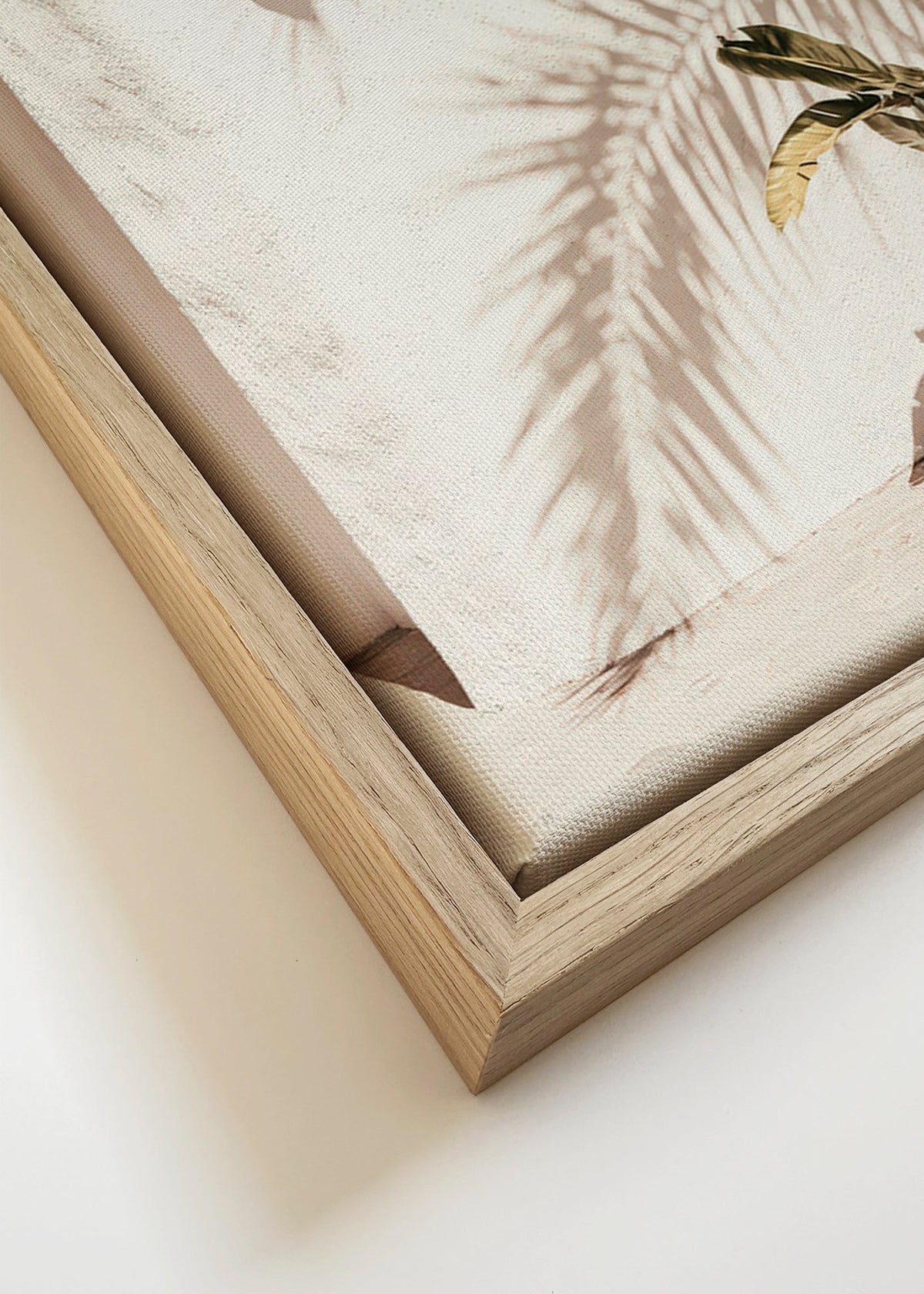 Lámina botánica: palma en maceta – Canvas detail
