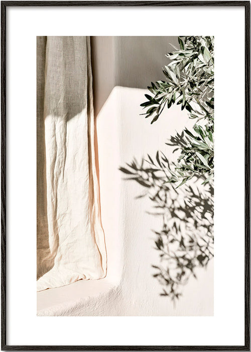 Lámina botánica con lino y ramas de olivo – Black Frame