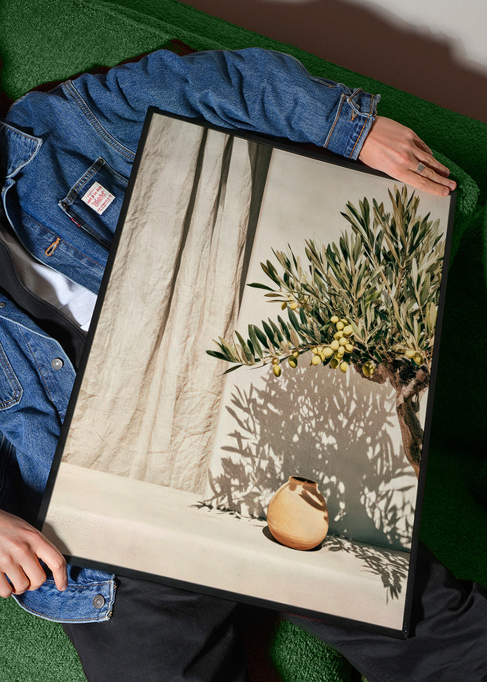 Botanical print olive branch