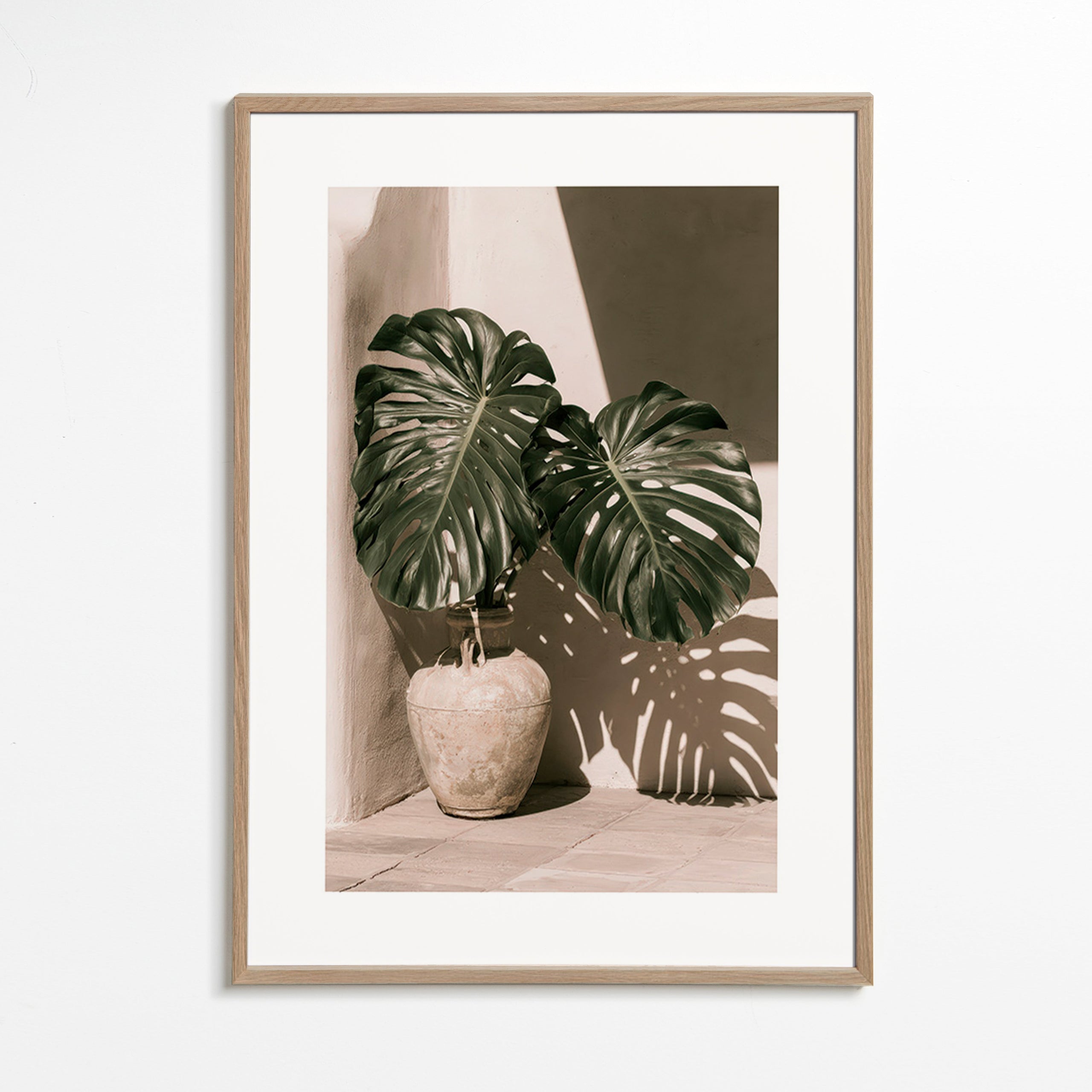 Lámina botánica Monstera en maceta – Oak Frame