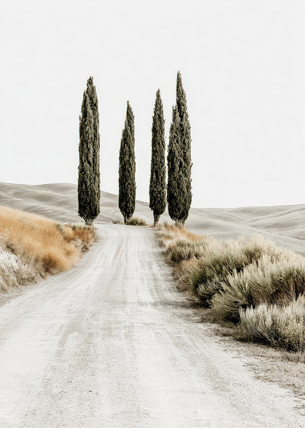 Cuadro de paisaje con cipreses en camino sereno
