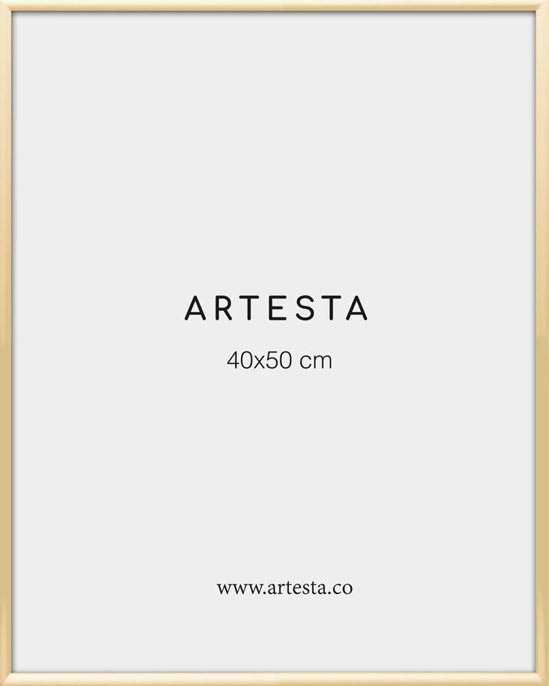 Gold frame 16'' x 20'' in