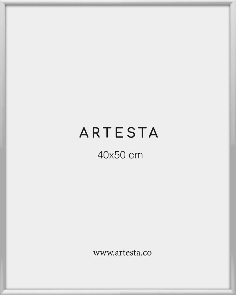 Silver frame 16'' x 20'' in