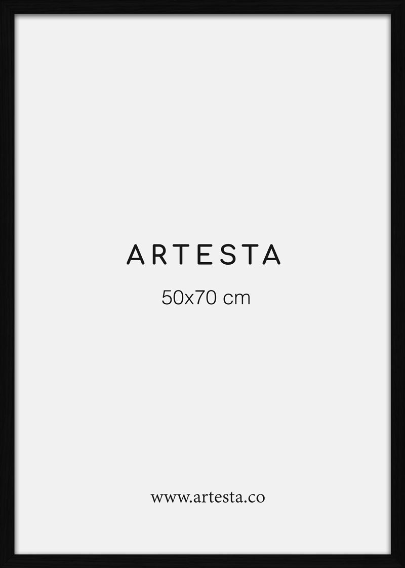 Black frame 20'' x 28'' in