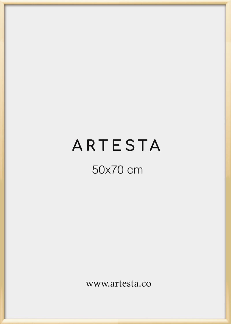 Gold frame 20'' x 28'' in