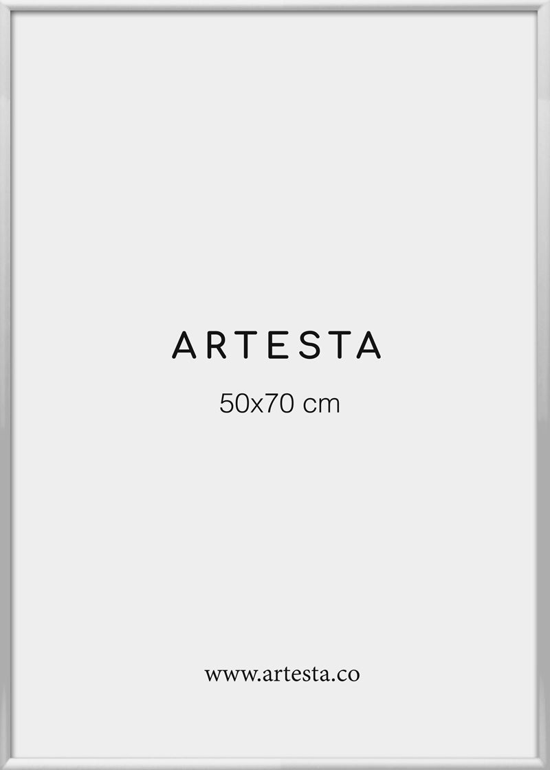 Silver frame 20'' x 28'' in