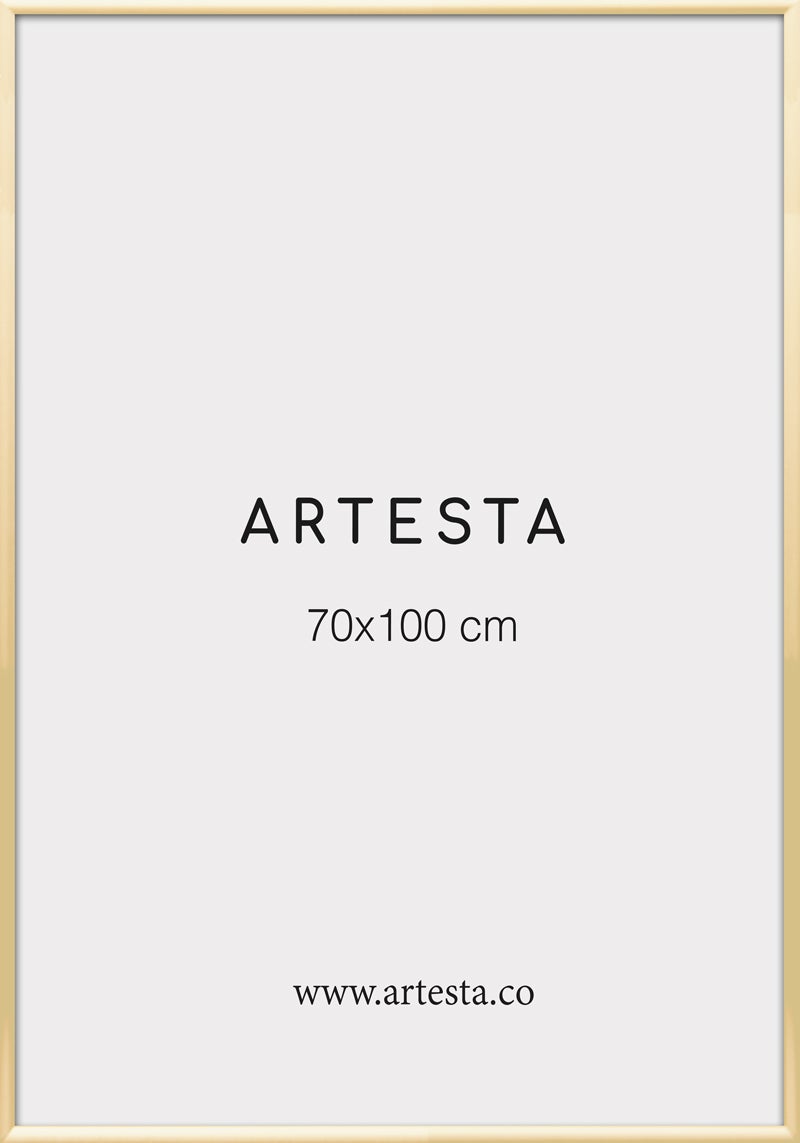 Gold frame 28'' x 39'' in